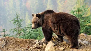 e045c6d8-66b7-.max-2560x1440.format-webp.jpegquality-90.webp