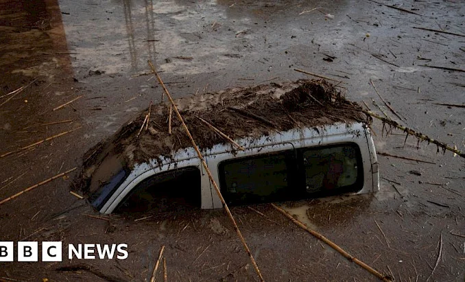 e637d9b0-9698-11ef-90df-3f1823a91773.730x0