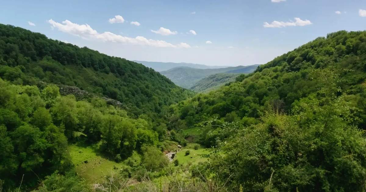 Kyrgyzstan's forest area increases by 506,000 hectares since 1993