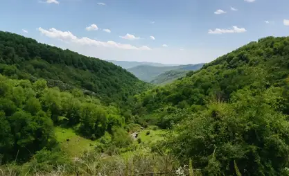 Kyrgyzstan's forest area increases by 506,000 hectares since 1993