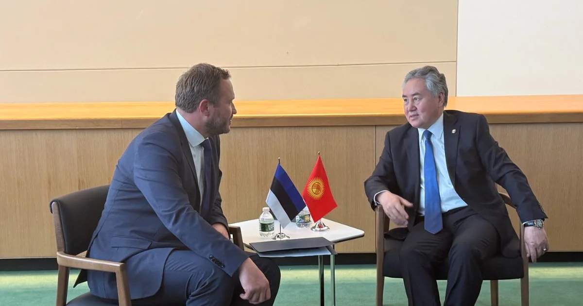 Kyrgyzstan and Estonia discuss Inter-Foreign Ministry Consultations and UN Dialogue