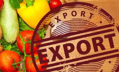 Uzbekistan exports $1.5 bln worth of fruits and vegetables in nine months