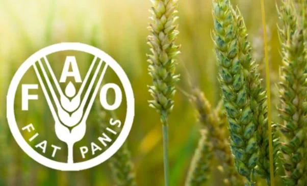 fao.jpg
