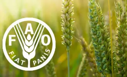 Turkmenistan, FAO launch privatization and soil management projects