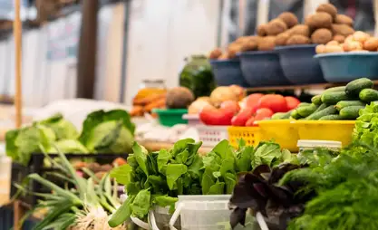 Issyk-Kul 2025 agricultural fair kicks off in Cholpon-Ata