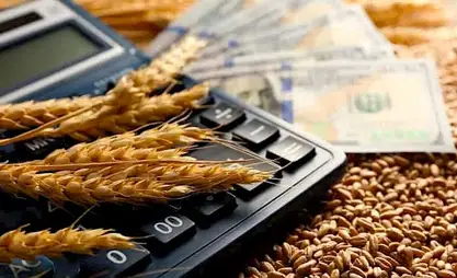 Kyrgyz agricultural sector financed under 5 state programs in 2025