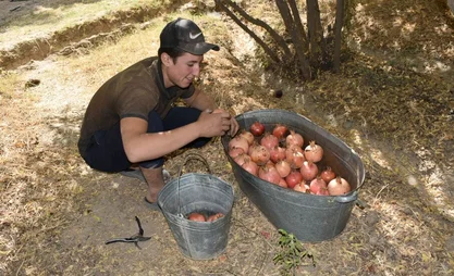 гра.jpg