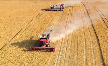 grains-2.2e16d0ba.format-webp.fill-1668x1014.webp