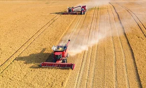 grains-2.2e16d0ba.format-webp.fill-1668x1014.webp