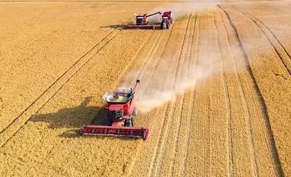 Kyrgyzstan expands sowing areas