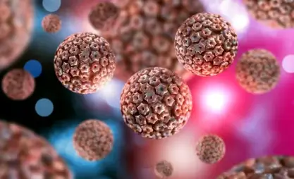 Risk of hantavirus outbreak in Kyrgyzstan remains minimal, Health ministry says