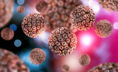 hantavirus.webp