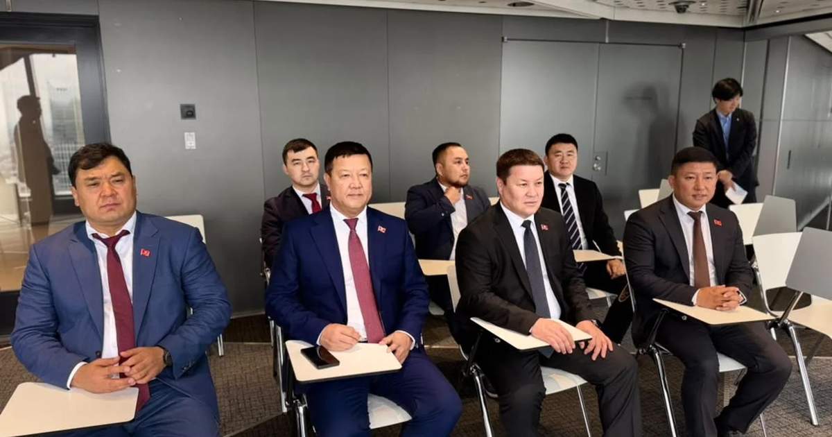Kyrgyz MPs discuss online education with Tokyo University