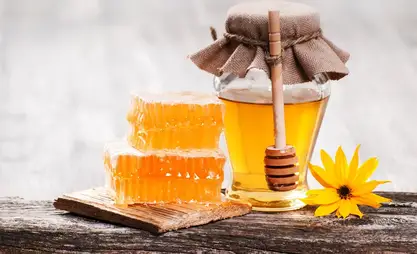 Kyrgyzstan increases honey exports in 2025 — main market China
