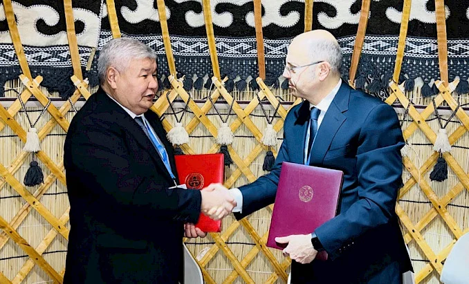 image-15-11-24-08-14-11.730x0