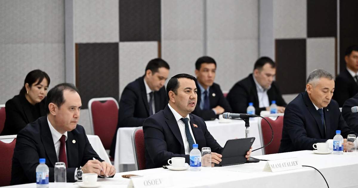 Kyrgyz speaker invites Japanese companies to invest in Kyrgyzstan