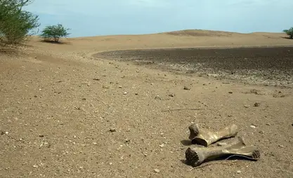 World enters era of ‘global water bankruptcy’, UN reports