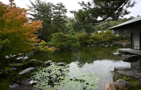 image8_eypx9FC.max-2560x1440.format-webp.jpegquality-90.webp