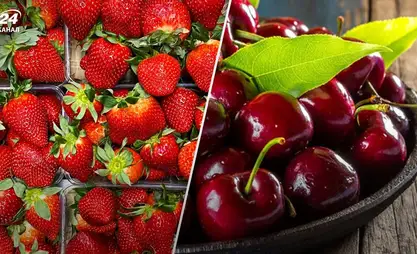 Kyrgyzstan delivers strawberries and cherries to Perm Krai of Russia for first time