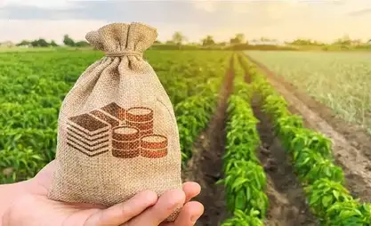 Kyrgyzstan's agricultural sector receives nearly 6.8 bln soms in concessional loans
