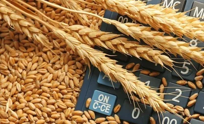 kazakhstan_reveals_new_funding_to_support_farmers_through_forward_grain_purchases.jpg