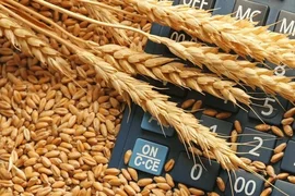 kazakhstan_reveals_new_funding_to_support_farmers_through_forward_grain_purchases.jpg