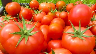 maxresdefault_.max-2560x1440.format-webp.jpegquality-90.webp