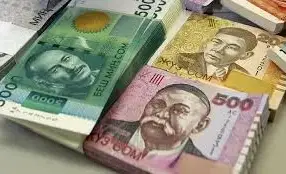 Tax collection reached 243 billion soms, State Tax Service reports