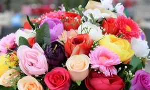 Every year, Kyrgyzstan imports over 2 mln flowers from Kenya, Ecuador ...