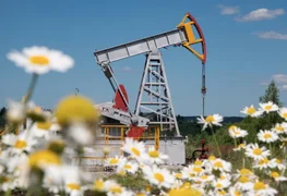 oil.jpg
