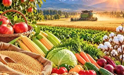 Kyrgyzstan harvests 714,000 tons more than in 2025