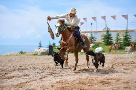 photo_53080243_DWCIHoz.max-2560x1440.format-webp.jpegquality-90.webp