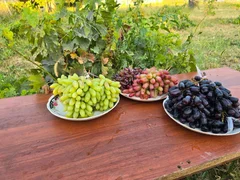 photo_53215052.max-2560x1440.format-webp.jpegquality-90.webp