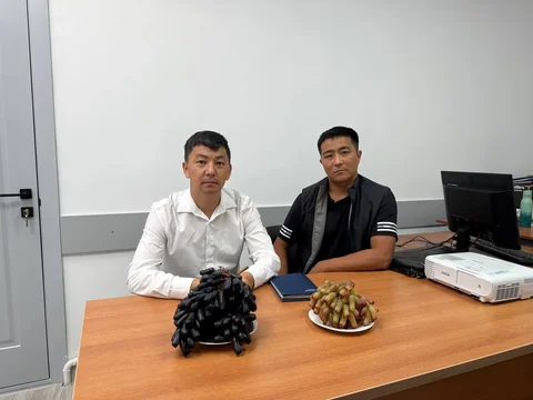 photo_53215052_3hwbVIM.max-2560x1440.format-webp.jpegquality-90.webp