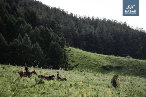 photo_53372441_8X7v5hY.max-2560x1440.format-webp.jpegquality-90.webp
