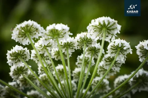 photo_53372441_x1u5iCv.max-2560x1440.format-webp.jpegquality-90.webp
