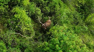 photo_53845331_gWX5ISc.max-2560x1440.format-webp.jpegquality-90.webp