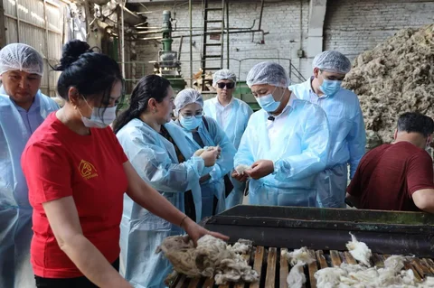 photo_54138321_prCD41w.max-2560x1440.format-webp.jpegquality-90.webp