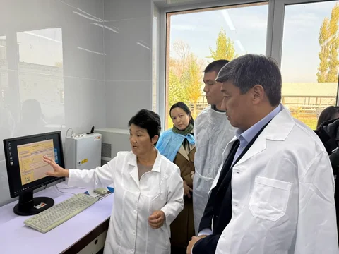 photo_54631669.max-2560x1440.format-webp.jpegquality-90.webp