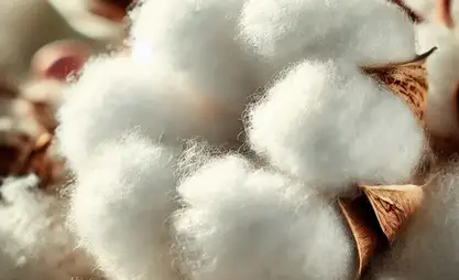 Turkmenistan aiming for stars with its cotton harvest plans for 2025