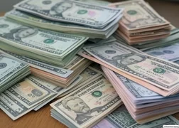 trend_dollars.png