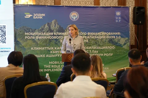 undp-kg-env-climate-finance-eldik-bank_0.jpeg