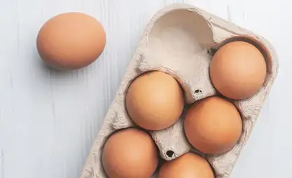 Kyrgyzstan exports almost 9 mln eggs to Kazakhstan in three months of 2025
