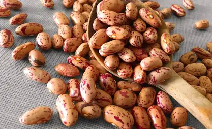 Talas beans exported to more than 30 countries