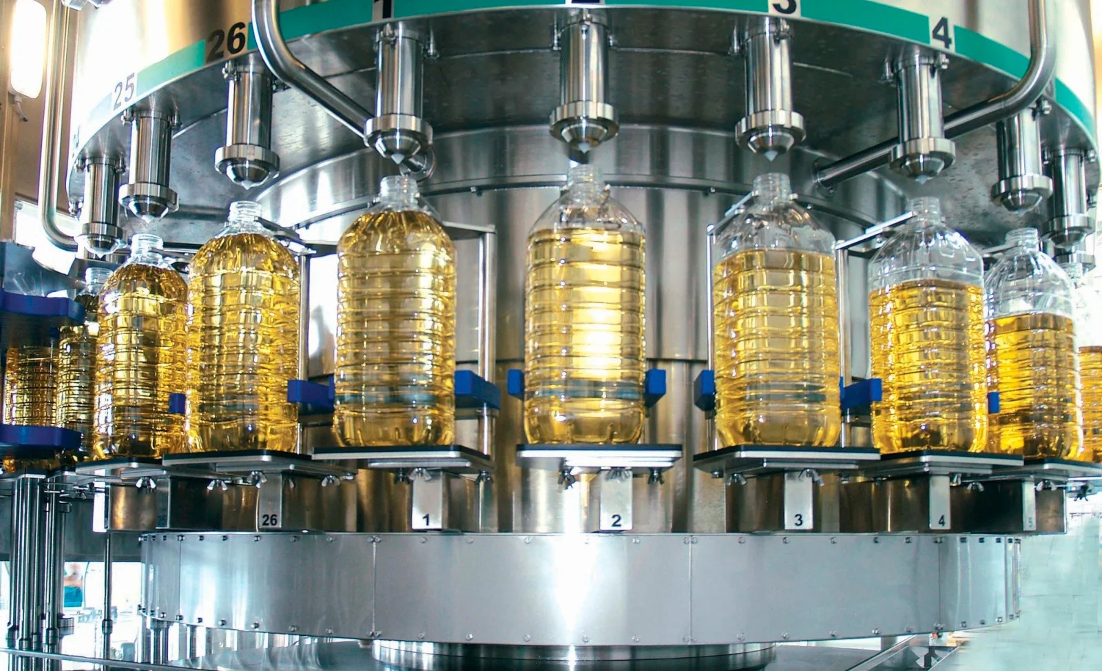 whatsapp_image_2024-11-19_at_09_51_54