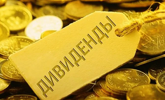 whatsapp_image_2024-11-18_at_14_15_16