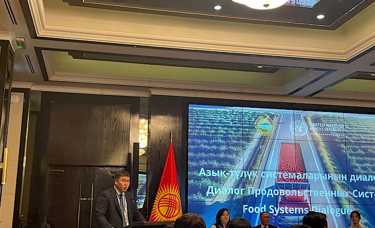 whatsapp_image_2024-11-15_at_10_27_41.730x0