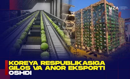 yFyub3994yWiWF7OviiE5kBzKtPfYBBX_front.jpg