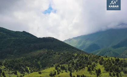жарат.webp