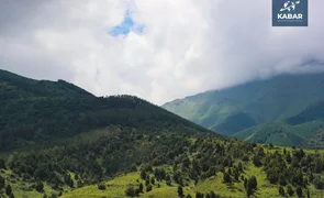 жарат.webp
